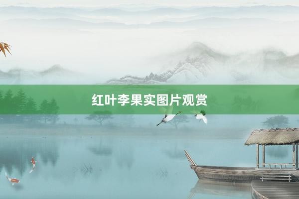 红叶李果实图片观赏