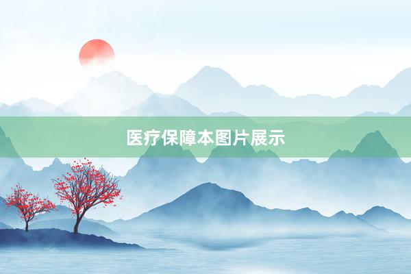 医疗保障本图片展示