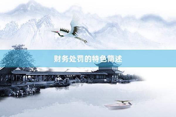 财务处罚的特色简述